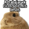 Me Dejaste en Visto😭 10