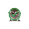 AUTORIZO