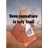 Devo consultare la holy Snail G