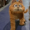 Garfield vol.2 🐈🐾 8