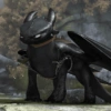 Toothless  6