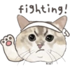 @KiwiBritishCat 5