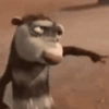 Reações das animações 23