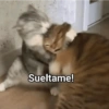 Memes 33 13