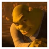 Memes do Shrek 🟢 11