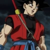 Goku xeno 22