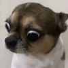 TÔ PASSADA, CHOCADA 😲 5