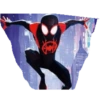 Spiderman 24