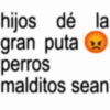 hijos dé la gran puta perros malditos sean