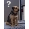 ?