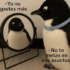 Randoms pal chat 🥴 15
