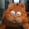 Garfield vol.2 🐈🐾 11