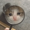 Gato triste bien sad 😿😭 9