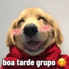 Moods: bom dia, tarde, noite 15