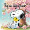 they me dejo querer