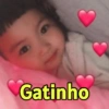 Gatinho