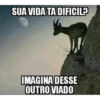 Muito ego e pouca pica 🤫 9