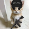 CHAMA POLICIA🚨🚨 8