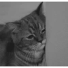 Mishis tristes 😿🥲 7
