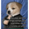 ✔️MEMESITOS QUE NECESITAS 🤭 10
