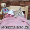 Frío ✨❄️☃️MEMES 16