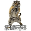 QUER DANÇAR? QUER DANÇAR?