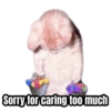 Sorry for caring too much