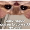 PRO AMORZIN 11