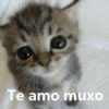 Te amo muxo