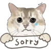 @KiwiBritishCat 8