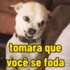 Ironia e deboches  13