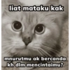 Anomali kucing 8