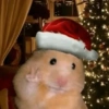 Hewan christmas natal cat 7