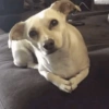 😎 Animales DIVERTIDOS 4 💯😎 7