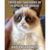 Talking cat 21