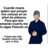Frases de streamers 21