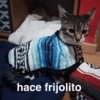 Frío ✨❄️☃️MEMES 6