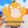 It's Psyduck🦆✨ 14