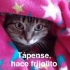 Frío ✨❄️☃️MEMES 20