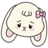 Cute bunny 🐾✨🐰🎀 24