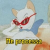 Meme  12