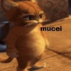 PRA USAR NO ZAP ZAP 21