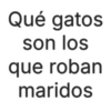 Qué gatos son los que roban maridos