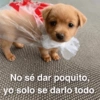 No sé dar poquito, yo solo se darlo todo.