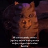 🥚😸Huevo disfrazado de Gato😸🥚 25