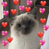 Manda para o crush 😍❤️ 9