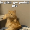 lu pikir gw peduli gtu
