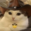 MICHIS 🥰🐱 9