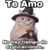 Te Amo geysioy No hay tiempo de explicaciones..