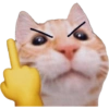 MEME KUCING 6